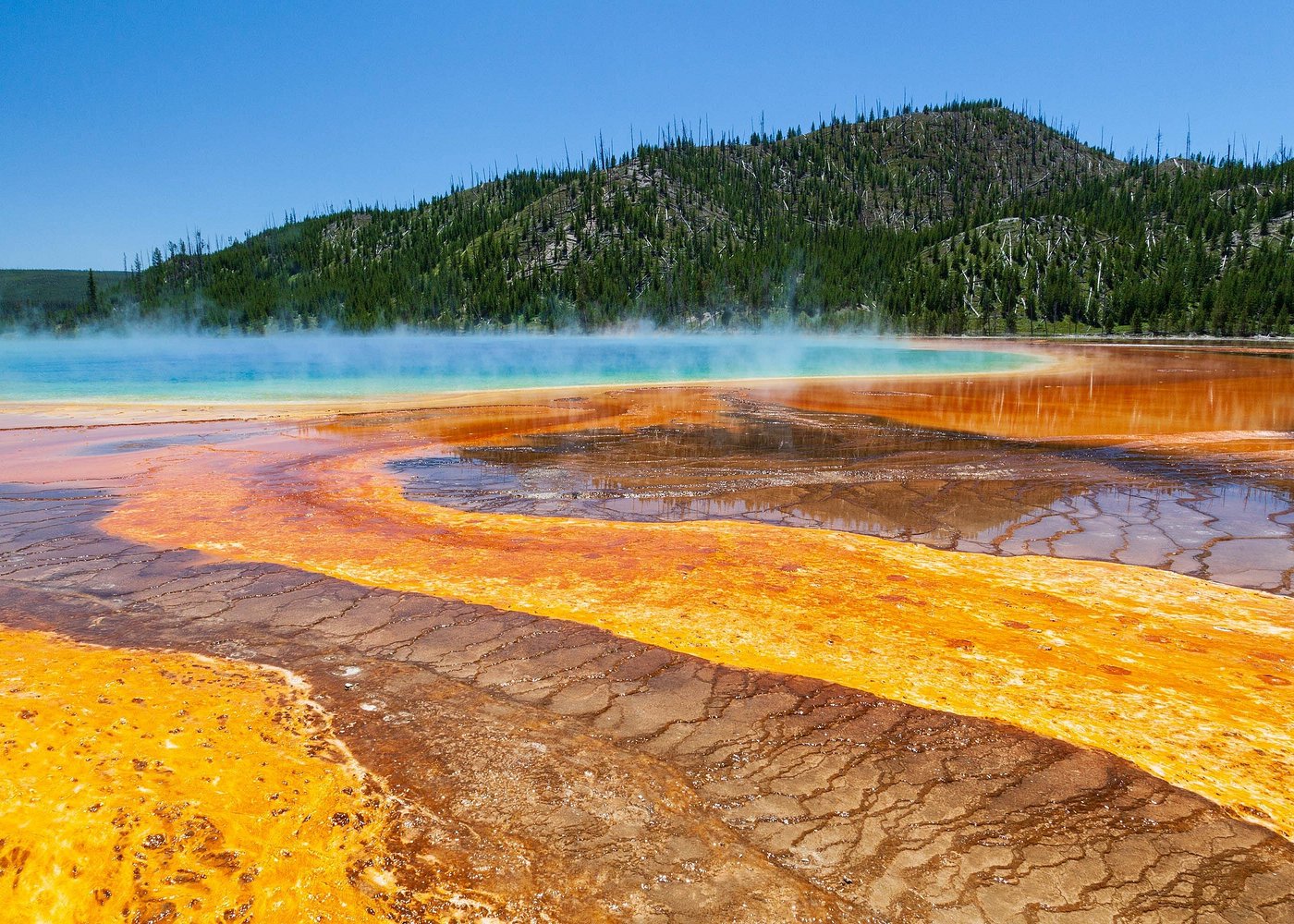 Full Day Yellowstone Nat'l Park Tour from Big Sky - Private Tour